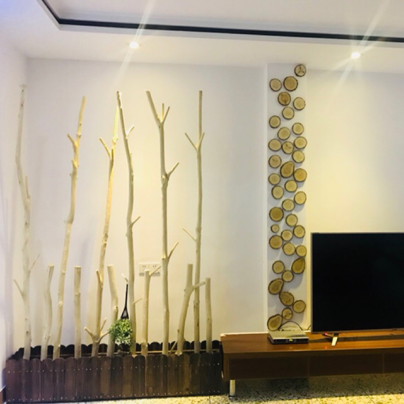 隆兴根艺天然树枝屏风隔断装饰树干客厅玄关幼儿园环创装饰北欧风