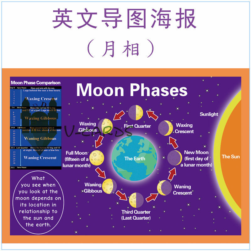 moonphaseposter月相相图英文文海报导主题教具早教闪卡