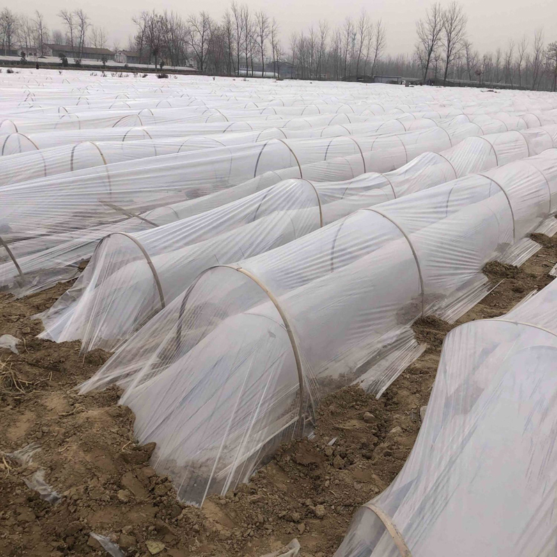 透明薄膜塑料大棚塑料膜白地膜农用白膜装修防尘塑料膜封窗加厚