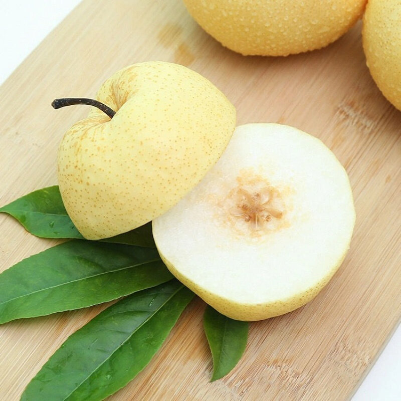 陕西礼泉酥梨10斤特大现摘当季整箱箱包梨