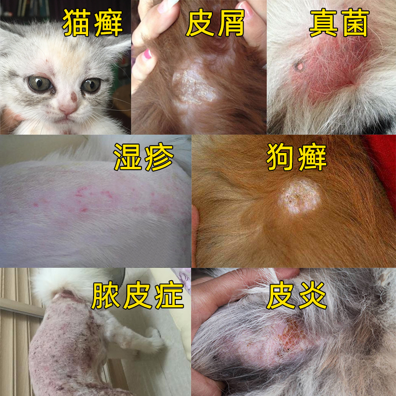 狗狗皮肤病外用用药狗癣猫癣真菌感染螨虫皮炎皮肤喷剂