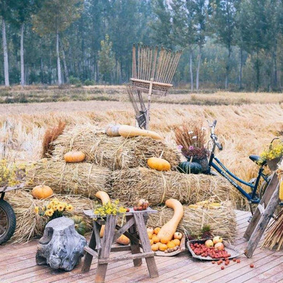 草垛子草堆稻草墩婚庆拍摄道具草垛凳子方形圆形草垛造型稻草包邮