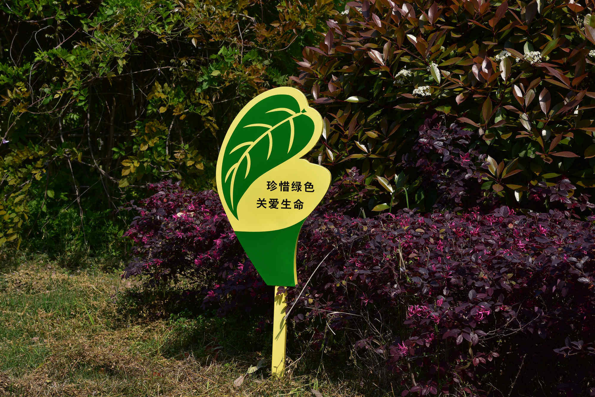 花草牌草地温馨提示小草垃圾分类园林标语牌广告牌广告牌