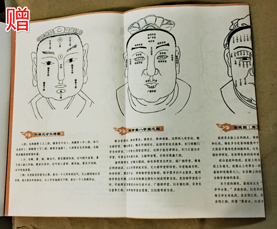 柳庄神相正版(文白对照 足本全译) 麻衣神相(新版)/图解古代人体工程