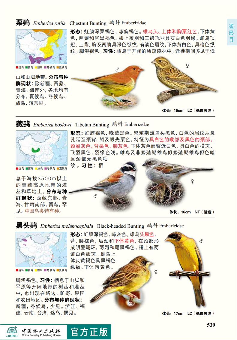 鸟类中国畅销书出版社林业科普读物图志图册典藏图鉴鸟类