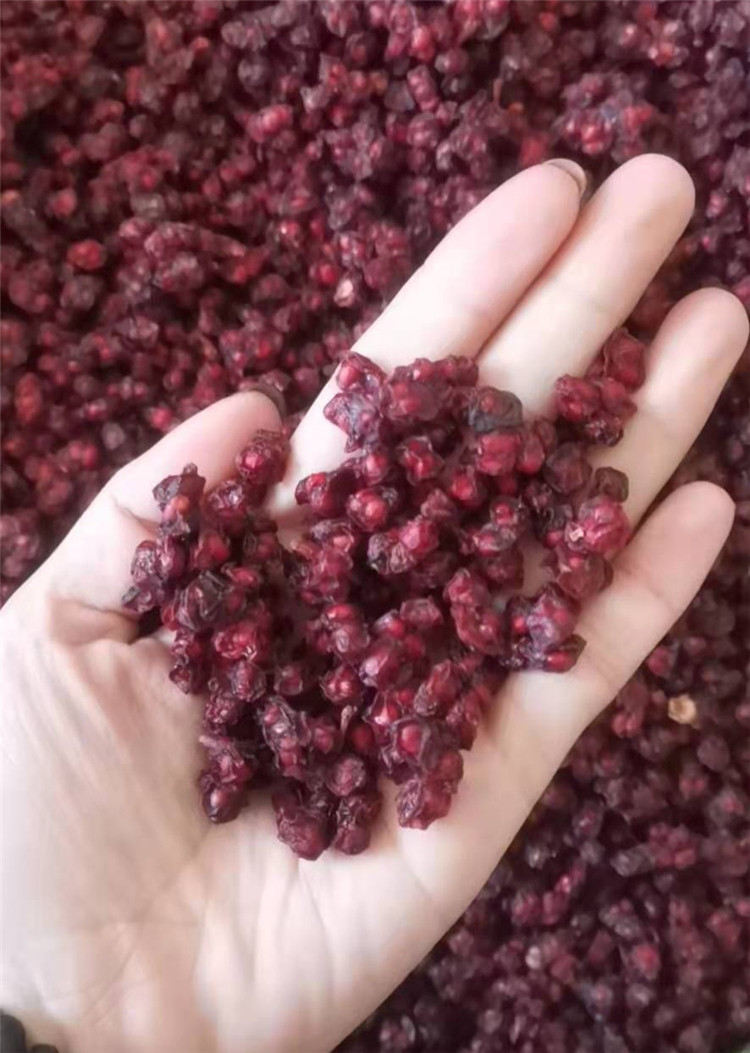 辽宁本溪野生五味子500克油籽当年干货产地地直其他药食同源食品