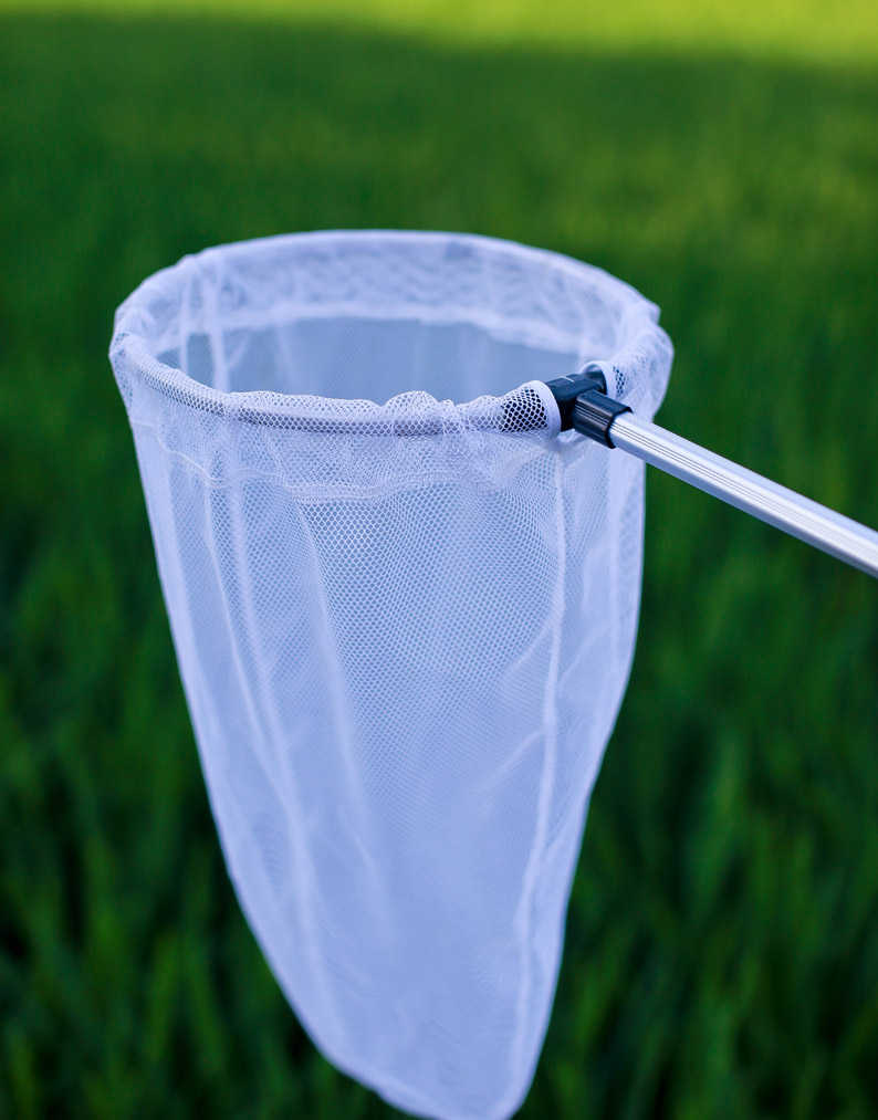 超短口袋儿童捕虫蝴蝶蜻蜓网兜伸缩小鱼捞网抄网杆