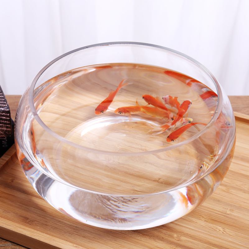 创意玻璃鱼缸圆形生态水族箱大号乌龟金鱼小型桌面缸