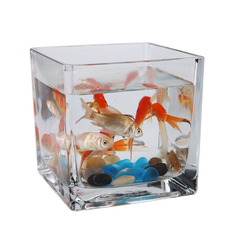 简约加厚玻璃透明正方形缸桌面摆件水培花器水养植物花盆大号花瓶