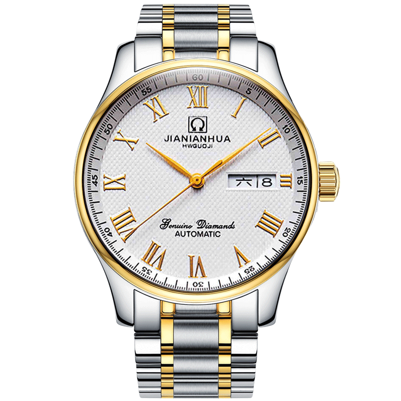 嘉年华手表男士全自动机械表经典商务精钢男表时尚潮流款防水正品