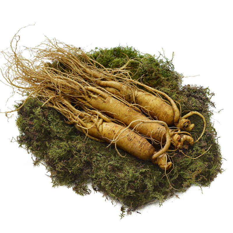 长白山人参园东北吉林特产带土6年新鲜新鲜人人参人参