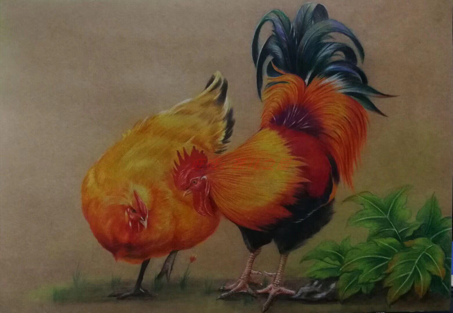 彩铅视频教程美术绘画超写实人像五官素描彩铅手绘插画教程视频