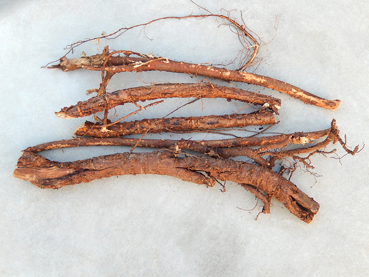 树根槐树野生槐根中药材国槐树皮老槐带皮洋槐其他药食同源食品