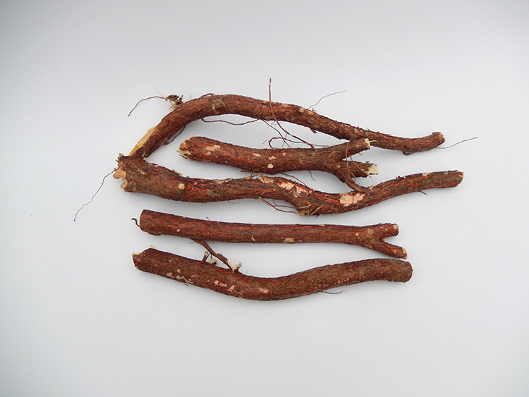 野生苦楝树根新鲜晒干楝枣树根火棯树根花心树苦辣树楝皮紫花树根