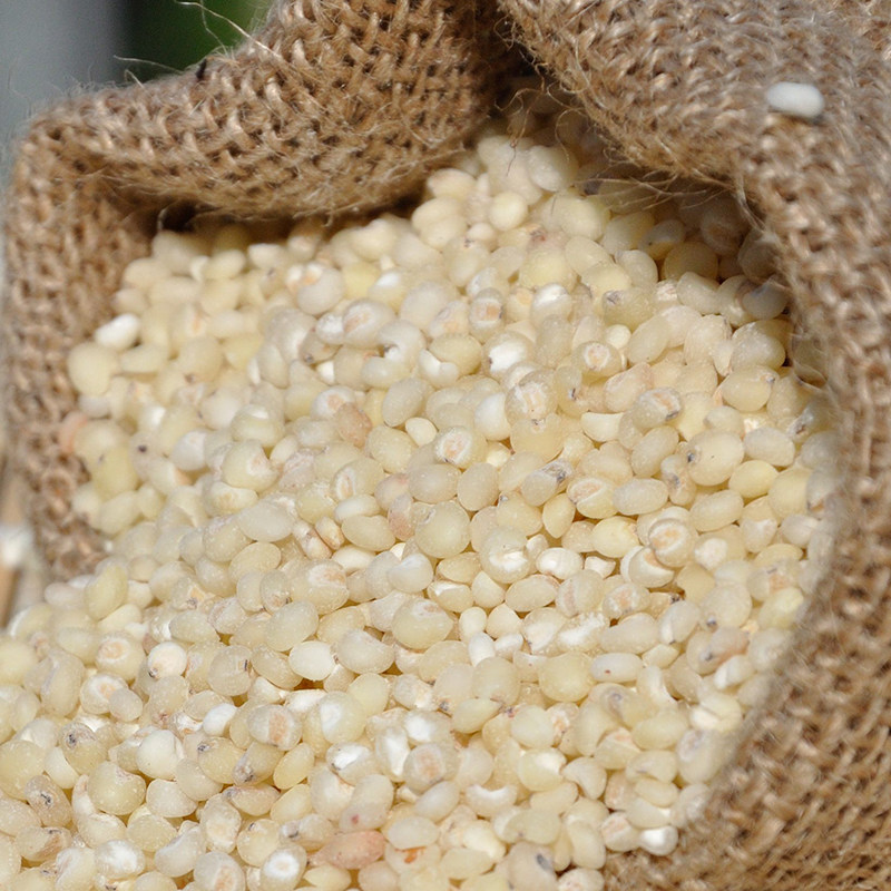 高粱米东北特产农家自产散装煮粥食用1斤1袋其它粮食