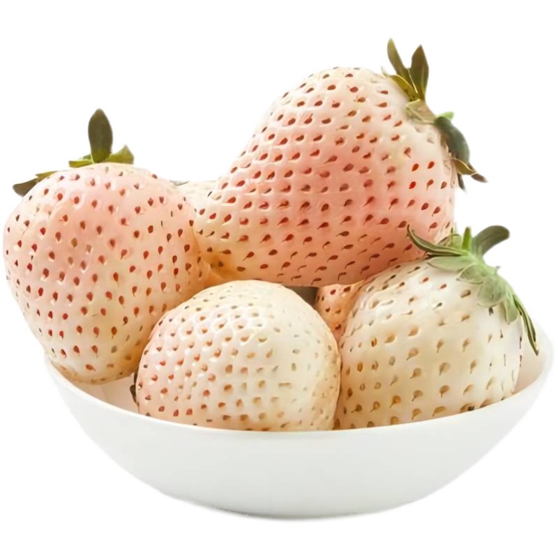 草莓雪白1斤牛奶白雪公主日本进口新鲜水果2斤草莓