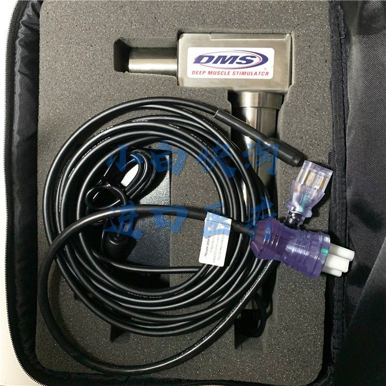 原装dmsmuscle专业深层肌肉刺激松解电动筋膜枪筋膜枪