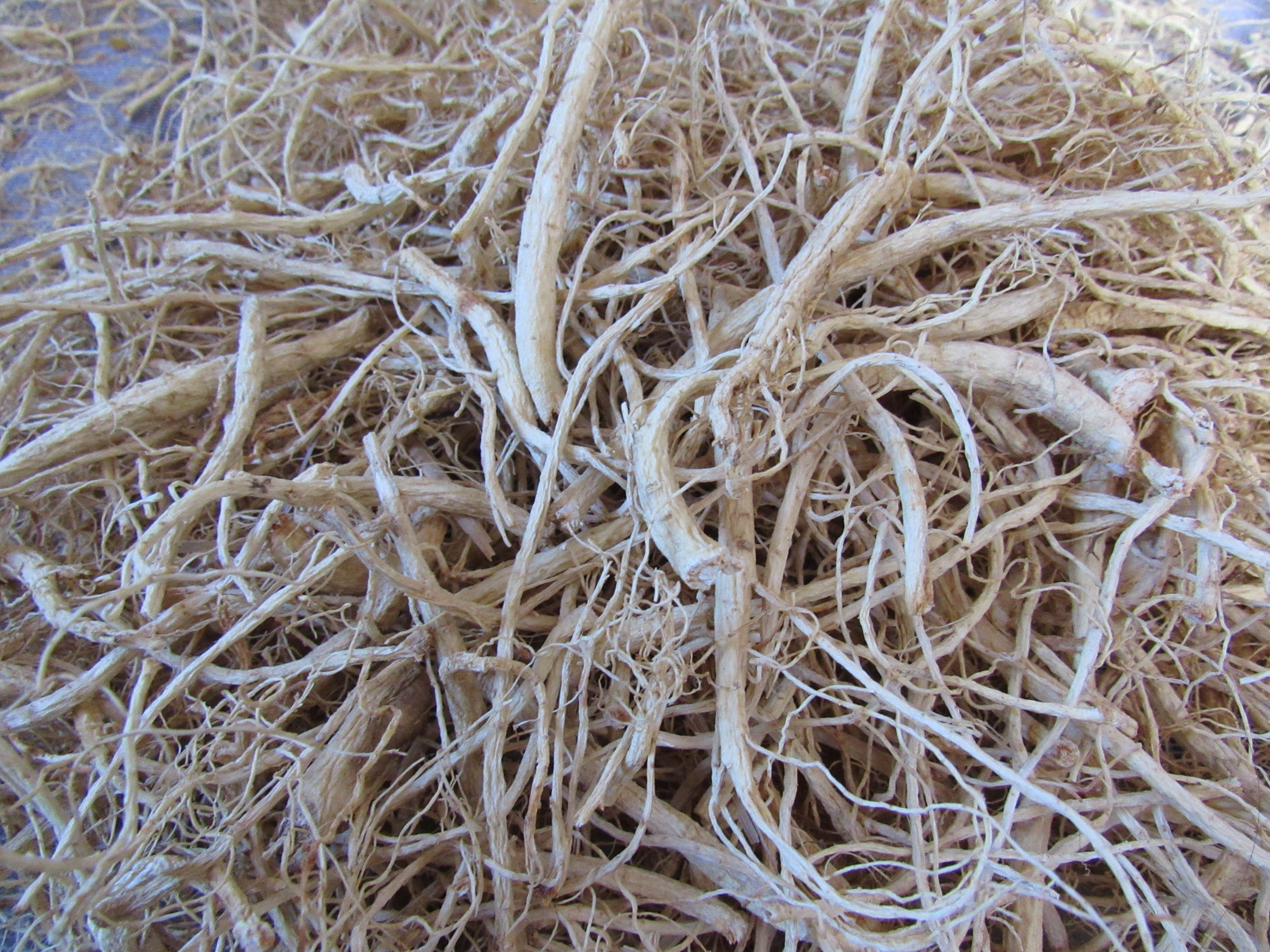 人参须根散装长白山万良须泡水白生晒参须参人参