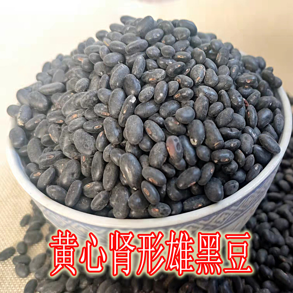 肾形药用黄心小黑豆农家自种当季豆浆专用优黄黑豆