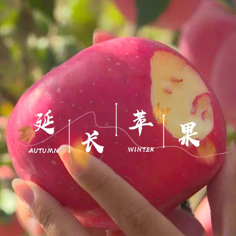 陕北延安延长高原山地苹果陕西红富士新鲜水果整箱24个装礼品