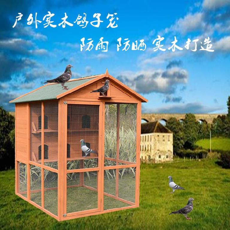 鹌鹑大房鸽子画眉屋鸽鸟笼棚鸽特大实用隔热窝