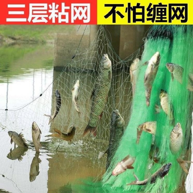鱼网沉网黑鱼传统粘网加重加粗大鱼清塘深水鱼网