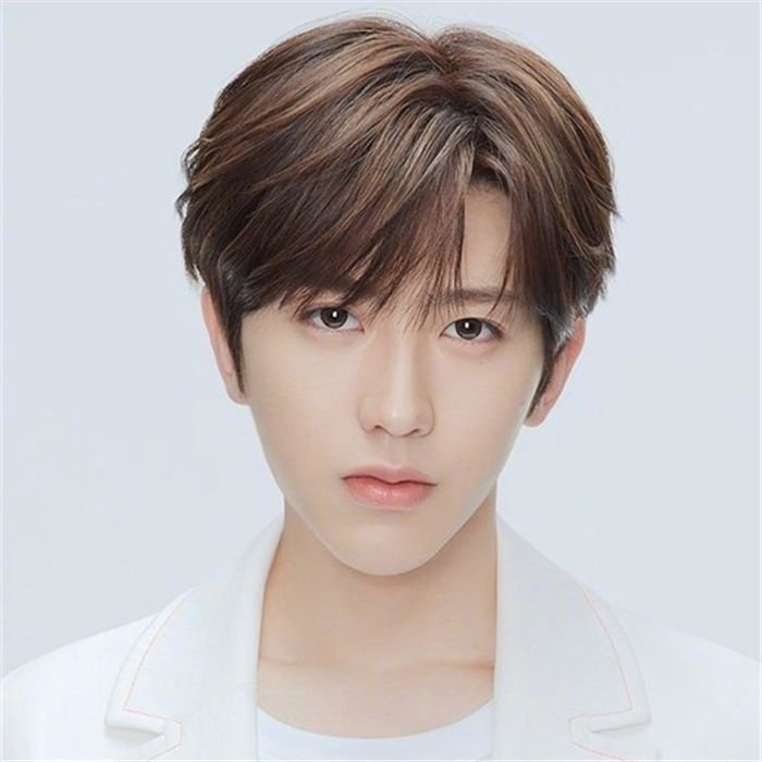 假发徐假发2pd刘海男蔡款中坤男坤款同分你有短发整顶假发