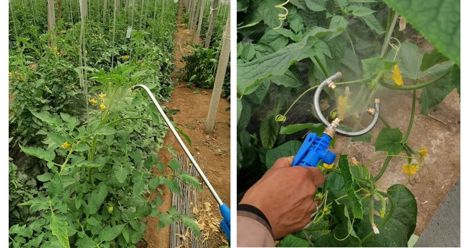 果树喷粉机人工农用果农神器蔬菜西红柿电动授粉授粉器