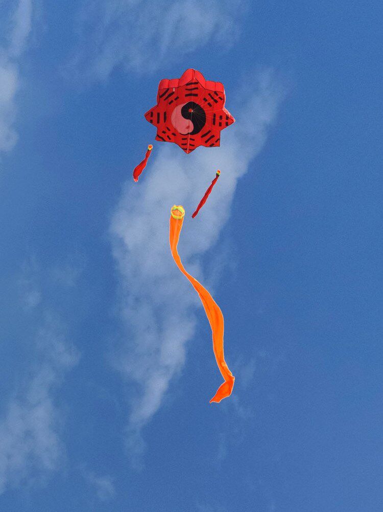 风筝软体八卦潍坊新款酷翔大型成人风筝