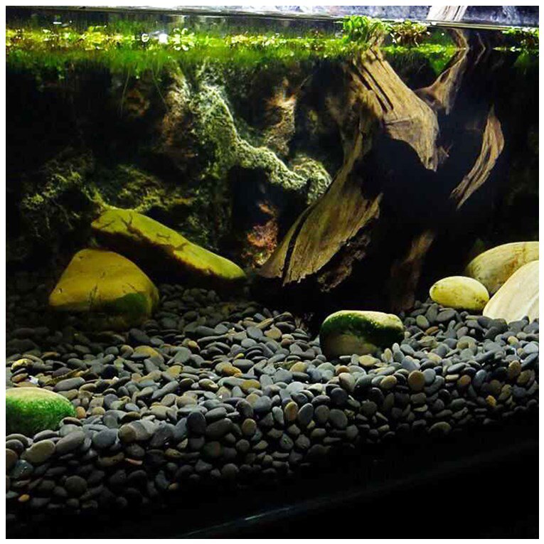 砂沙南美砂底鱼缸胆工乌龟石景沙铁装饰水族箱造景