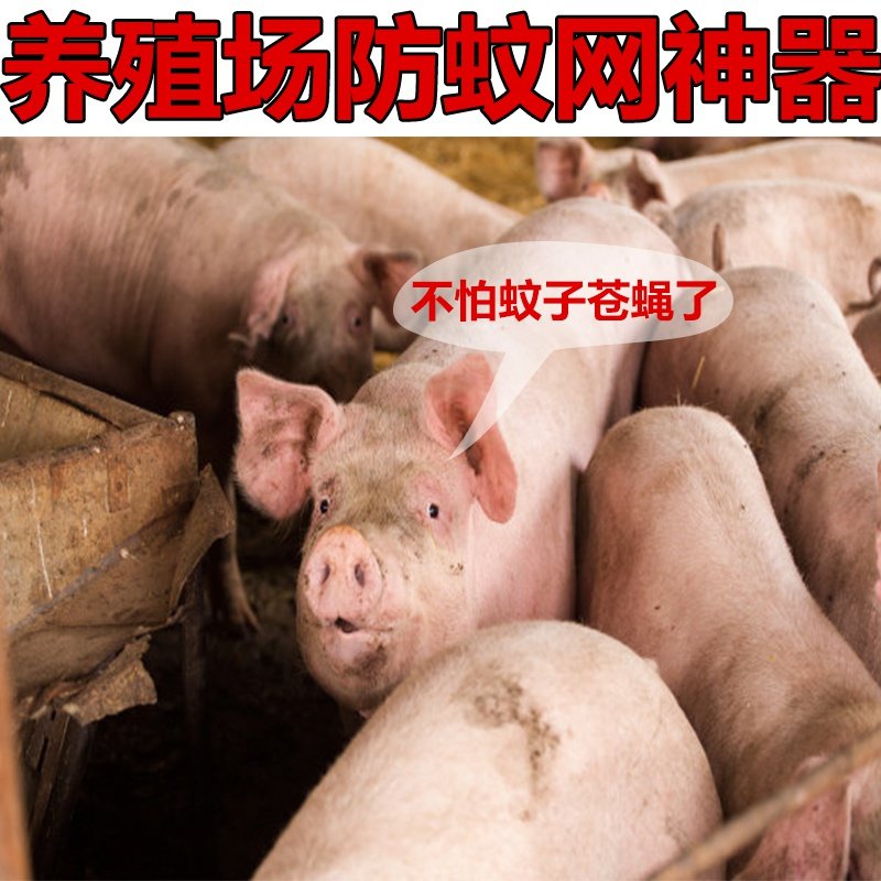 养猪场防蚊农用纱布网罩果园专用抗老化耐用蔬菜纱窗