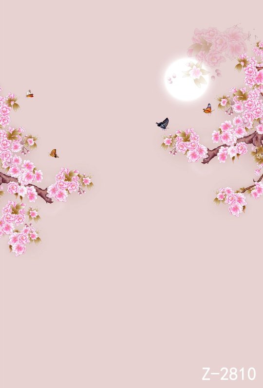 新款中国国风山水国画复古古装工笔画汉服拍照背景布类