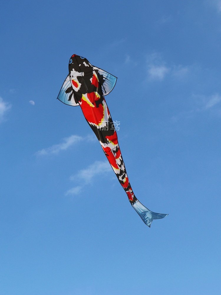 风筝潍坊七彩锦鲤吉祥红鲤鱼儿童成人大型初学者风筝