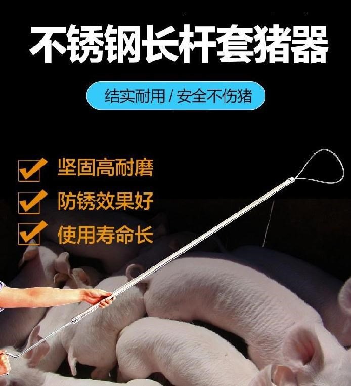 打针牢固抓猪绳套猪用养殖场畜牧设备适应不同畜牧