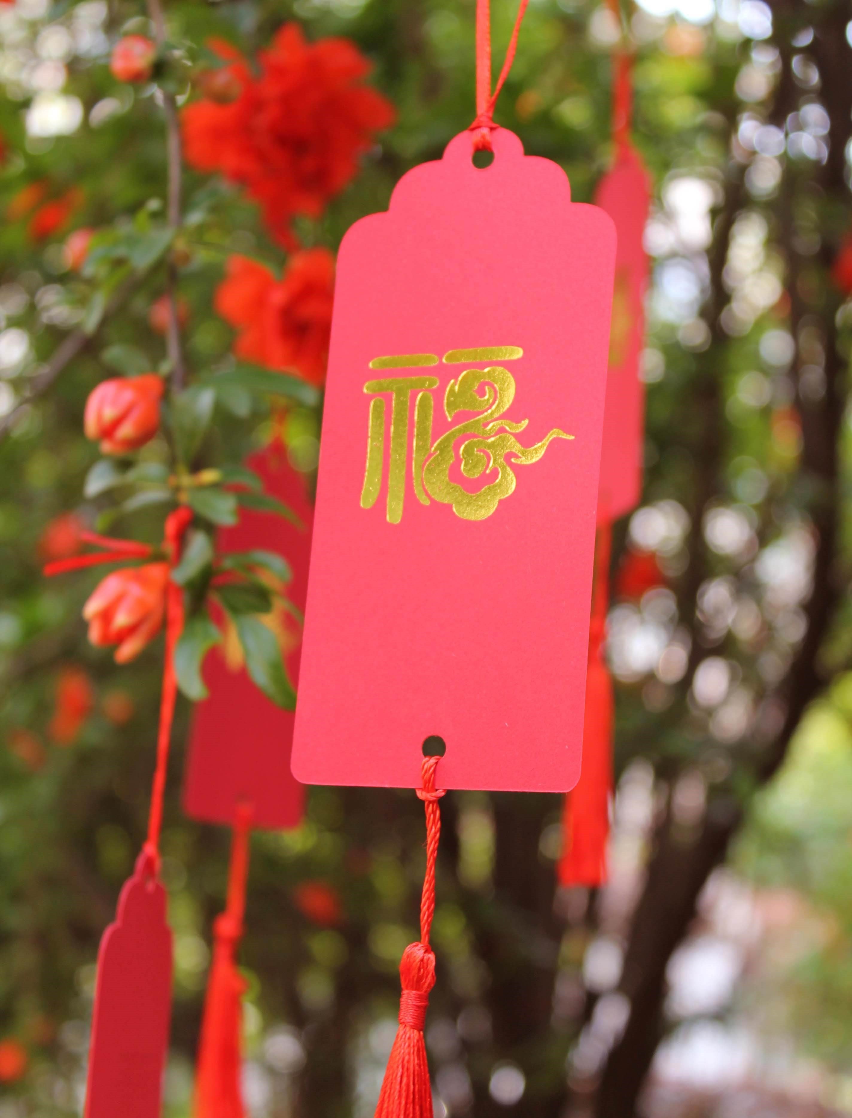 新品许愿卡爱心形吊牌标签心愿树挂挂牌空白贺卡