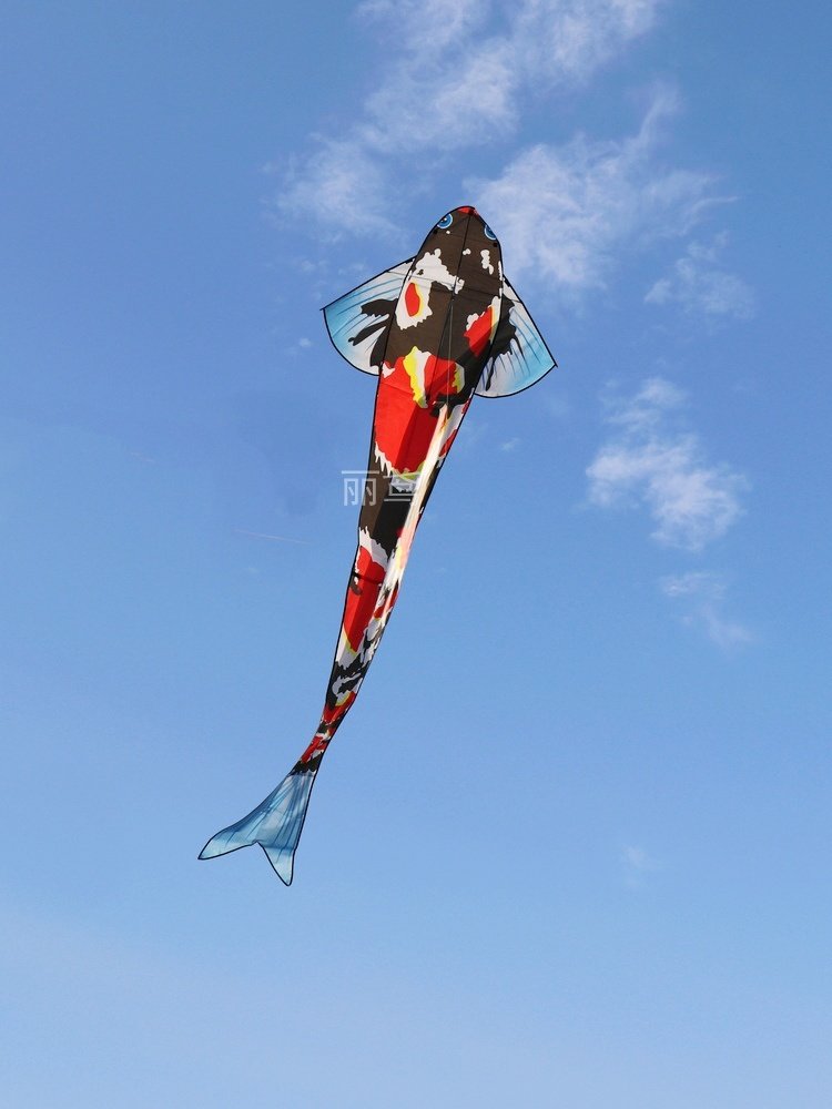 风筝潍坊七彩锦鲤吉祥红鲤鱼儿童成人大型初学者风筝