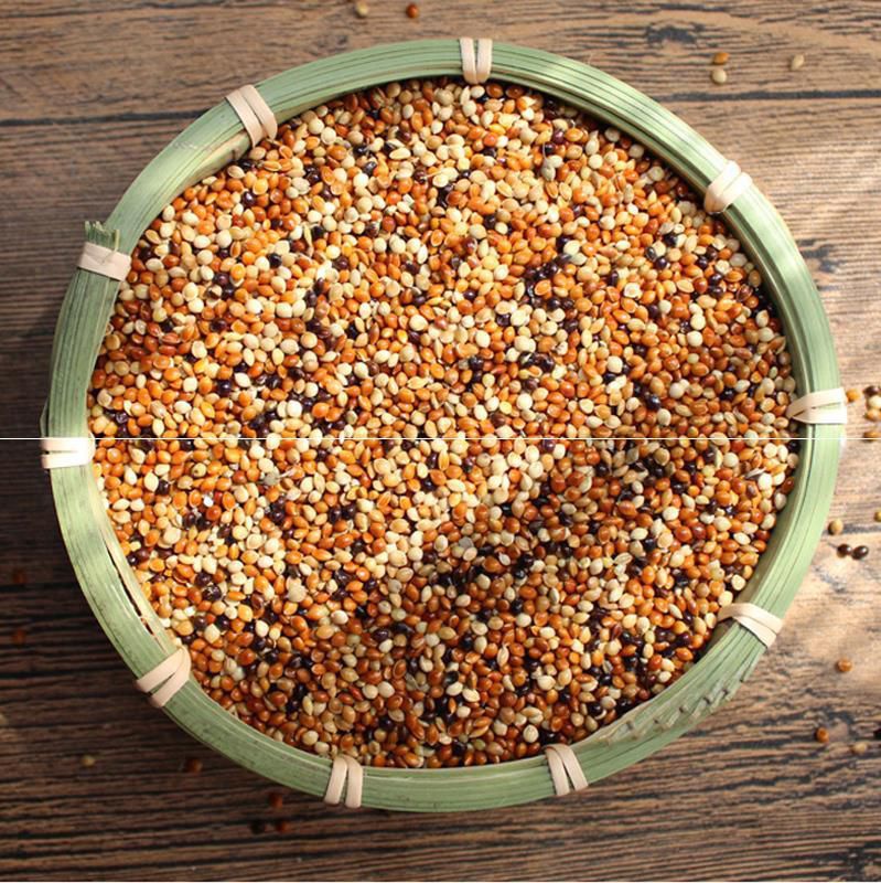 稗子鸟食鸟粮带壳谷子黄鸟用米类米类粒粒黄小米小米鸟食