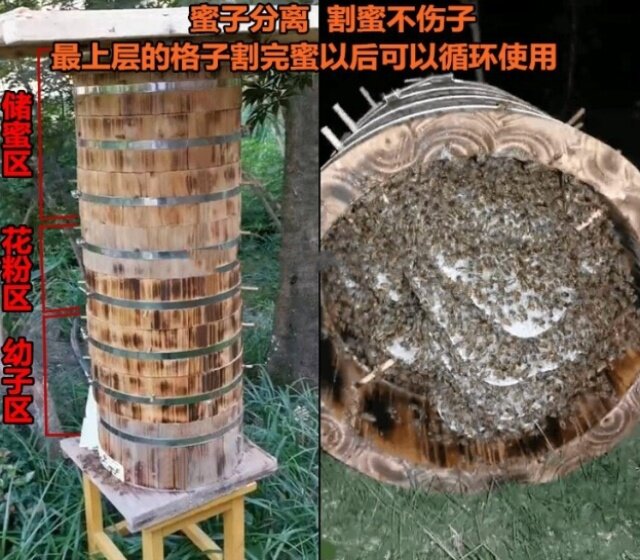 蜜蜂养殖圈养圆桶圆桶蜂箱木桶老式养蜂饲养工具蜂业耐用专用