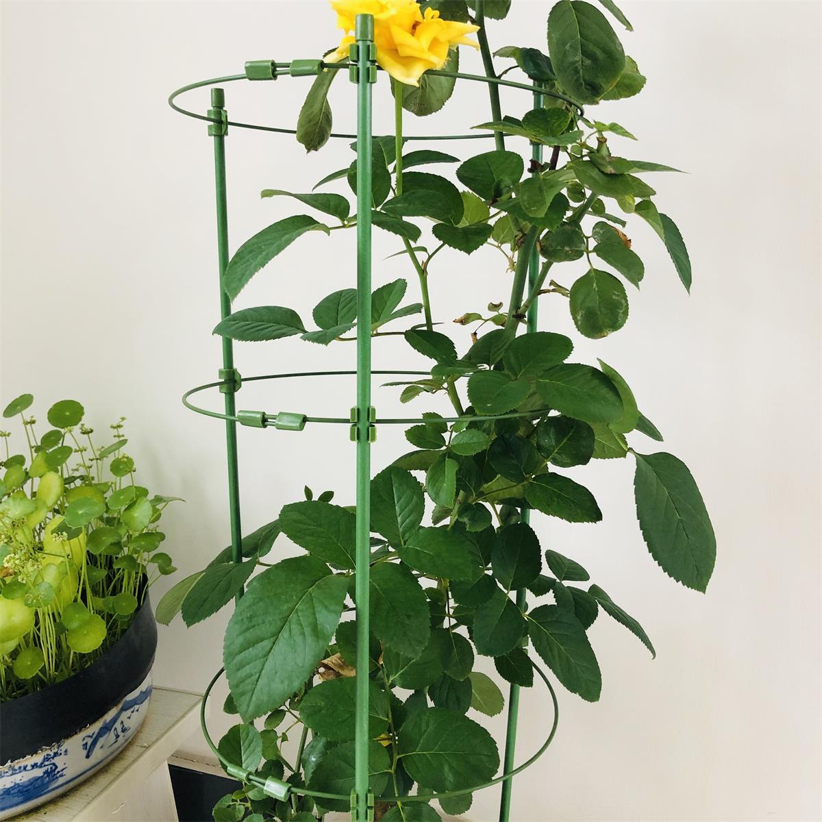 月季花爬藤架子室内花卉支架多层伸缩缩支撑杆花架