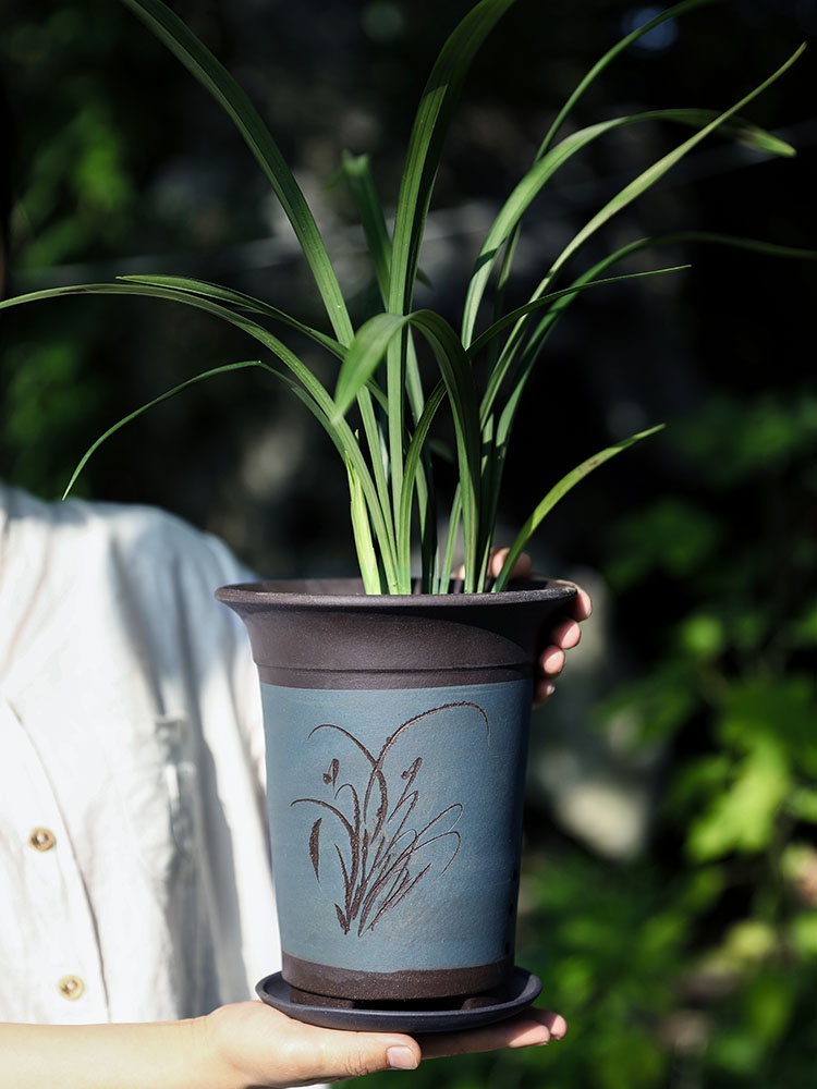 鸿韵抟砂宜兴紫砂兰花花盆大口径君子兰陶瓷兰草专用盆带花盆