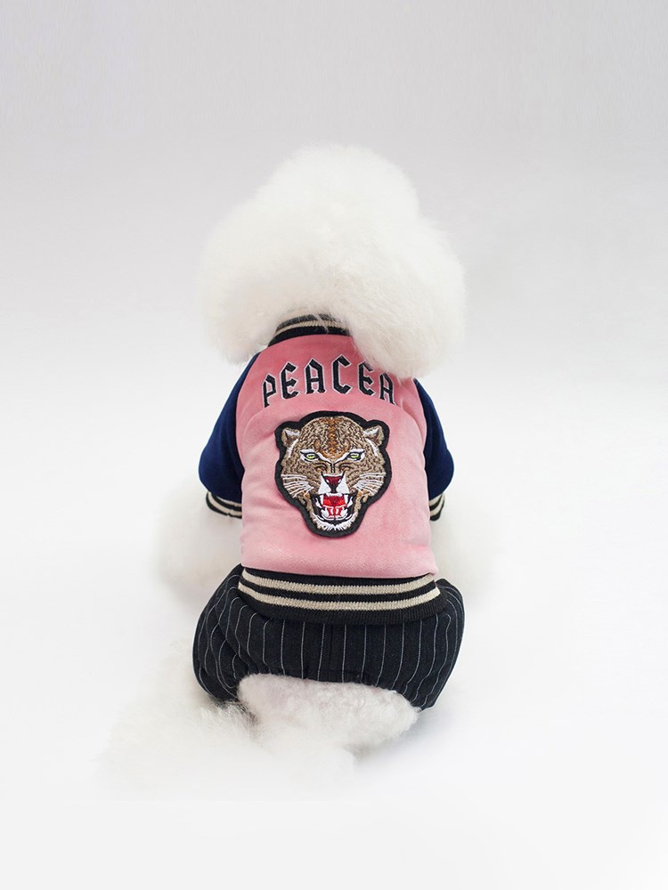 绒比可爱小型衣服四脚狗熊秋季棉衣宠物款冬宠物服装