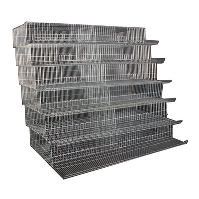 鹌鹑鸟笼蓝胸自动化养殖育雏加粗加密阶梯型滚蛋笼子