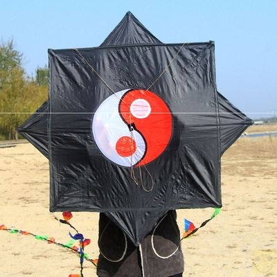 风筝潍坊伞布八卦大型成人长尾易飞好飞抗大风筝