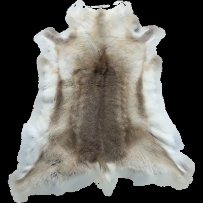 装饰正品芬兰驯鹿鹿皮整张皮毛毛皮地毯皮草地毯