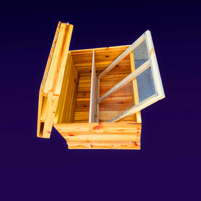 蜂箱十框带框蜜蜂箱养蜂箱中蜂巢框养蜂工具全套杉木蜂箱中锋巢