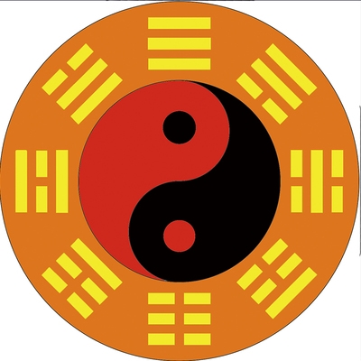 阴阳太极八卦图地毯打坐坐垫练功金色地垫门垫地毯