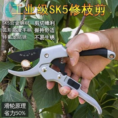 修枝刀剪剪子剪枝树枝粗枝果树剪刀修剪花木园艺剪