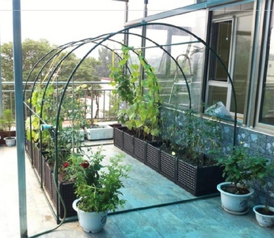 花盆棚架包塑藤架架钢管屋顶露台架子种植月季花其它园艺用品