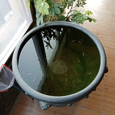 黑陶鱼缸底座古法养鱼瓦缸老式陶土土泥盆养鱼缸