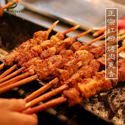 红柳烤肉签子3035404550cm新疆羊肉串烧烤签大串柳枝签字其他